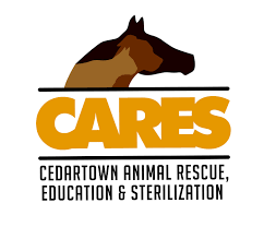Get To Know Cedartown Animal Rescue Education S Cedartown Animal Rescue Rescue