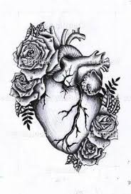 Check spelling or type a new query. Best Tattoo Heart Flower Roses 56 Ideas Anatomical Heart Tattoo Human Heart Tattoo Nature Tattoos