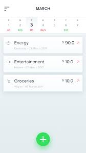 Personal Expenses Manager App Design User Interface Design Person