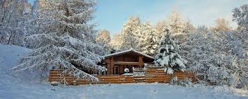 Discover another side of scotland with our log cabins and lodges. Log Cabins Visit Aviemore