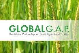 GlobalGAP Certification