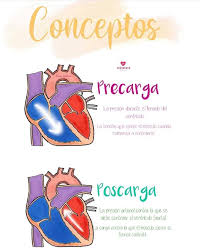 CONCEPTO DE PRECARGA Y POSCARGA... - Fundamentos De Medicina y Enfermería |  Facebook
