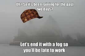 Scumbag Sydney Meme Sydneyfog Bones Funny The Past Fog