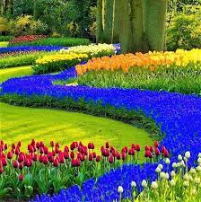 ✓ free for commercial use ✓ high quality images. Beautiful Flowers Natural Photos Facebook