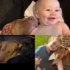 Haley Dillon (@haley.wiegner.5) • Facebook