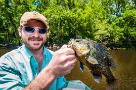 Check out our cork stoppers selection for the very best in unique or custom, handmade pieces from our winemaking shops. How To Rig A Slip Cork To Catch Bream