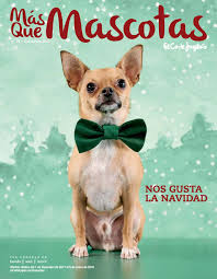 Wallpaper como mi papá perruno. Catalogo El Corte Ingles Mas Que Mascotas By Ofertas Supermercados Issuu