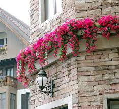 We did not find results for: Artificial Flowers Hanging On Outside Wall Artificial Flowers Artificial Flowers Outdoors Window Box Flowers