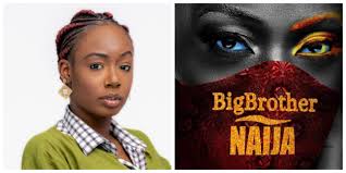 The big brother naija reality tv show for the year 2020 have started. Bbnaija 2021 Housemates Eligibility And How To Participate