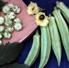 Lots of leafy vegetables grow fastest. 40 Seeds Okra Blondy Easy Vegetable Indoor Outdoor Fast Growing Learn Gardening Ebay
