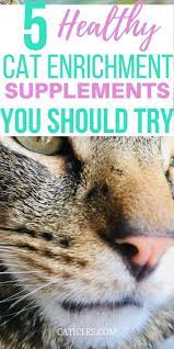 Home Remedies For Dry Skin On Cats Natural Remedies That Work Cat Supplements Coconut Oil For Cats Homemade Cat Food