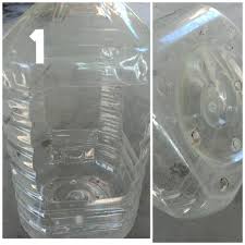 Biji benihnya kecil seperti biji benih sawi. Tanam Ros Jepun Cara Mudah Murah Berbunga Meriah Ni Kena Buat Keluarga