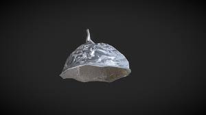 Tinfoil Hat Download Free 3d Model By Tamzidfarhan Tamzidfarhan 77ad6df