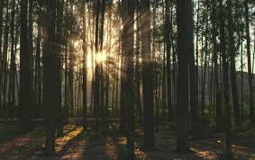 Follow Me Living In The Light Of Eternity Today United Church Of God