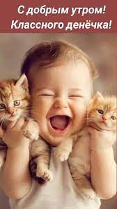 Пин от пользователя Наталья Евгеньевна на доске с добрым утром | Доброе  утро, Веселые картинки, Забавные фотографии обезьян