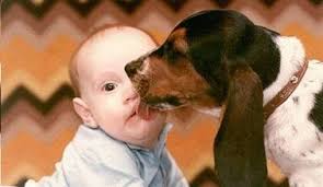 Introducing Your Dog to your New Baby