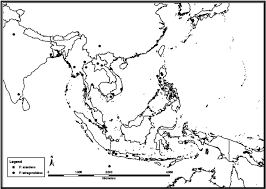 Image result for Psophocarpus grandiflorus