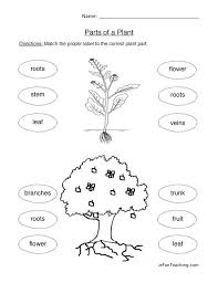 Plants Worksheets Have Fun Teaching In 2020 Plants Worksheets Plant Cells Worksheet Parts Of A Plant