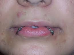 The australian ghost bat is the sweetest (almost) vampire. Snake Bites Piercing Risks Aftercare And Jewelry Advice Hubpages