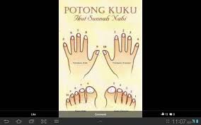 Hukum dan hikmah memotong kuku memotong kuku adalah amalan sunah. Potong Kuku