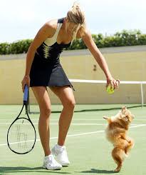 Live tennis stream is your free source to watch live streams of the sport you love. Pin By Sira Busquier On Active Lifestyle Sharapova Tennis Maria Sharapova Tennis