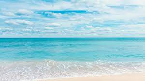 We did not find results for: Best Free Microsoft Teams Backgrounds The Ultimate Collection Of Teams Virtual Backgrounds Background Pictures Background Beach Background