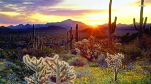 Lovepik provides 230000+ desert background photos in hd resolution that updates everyday, you can free download for both personal and commerical use. Desert Wallpapers 1366x768 Laptop Desktop Backgrounds