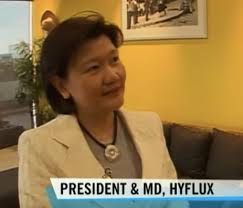 Print your org chart in pdf • hyflux org chart. The Cautionary Tale Of Hyflux S Olivia Lum S Rags To Riches Story Says Bloomberg Report The Independent Singapore News
