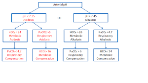 Diagram For Blood Gas Wiring Diagrams