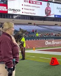 Happy Bird Day, Owls! Celebrating Stella's 10th year with Temple 🦉🎉,  Stella, the great horned owl, serves as an Education Ambassador for  @elmwoodparkzoo and has been Temple University's Live Mascot ...
