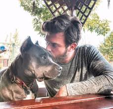 Pin By Evelyn Barbosa On Kivanc Tatlitug Kivanc Tatlitug Pitbull Dog Instagram