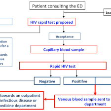 Flow Chart Of Procedures For Hiv Screening With A Rapid Test