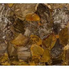 Bathroom tiles, floor tiles, porcelain tiles, vintage tiles, wall tiles. Desert Petrified Wood Stone Tile Thickness 15 20mm Size Large 12 Inch X 12 Inch Rs 200 Square Feet Id 21082430833