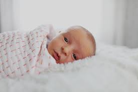 Unfading Adventures Photography