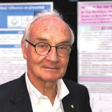 RESEARCH REPORT 2020