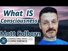 What Is Consciousness Really? Subjectivity, Self Observation, and Our  Future