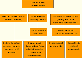 social welfare department organisation structure subpage