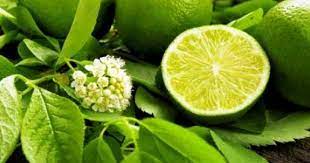 Promotion terms walaupun kami masih dalam proses setup lokasi baru kami tapi kini promosi terhad ini dibuka semula sehingga 28 febuari 2019 atas permintaan ramai. Ada 10 Manfaat Daun Jeruk Nipis Untuk Kesehatan Kecantikan