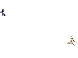 1 Van De Lelijke Websites Butterfly Photos Animation Butterfly Gif