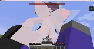 Minecraft Anal Animation - Lewd.ninja