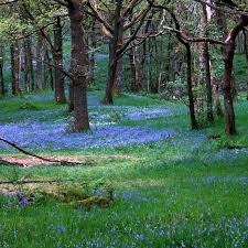 Top hand could slide over a bit. Tune Index Bagpipe Master