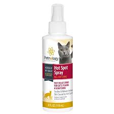 Petnology Cat Hot Spot Spray Liquid 4 Oz Buy Online In Andorra At Andorra Desertcart Com Productid 62496698
