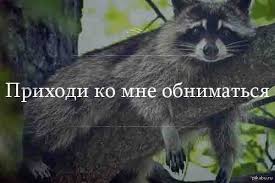 https://encrypted-tbn0.gstatic.com/images?q=tbn:ANd9GcTtkLHZbs8_O4XTfQXfCWiN2X2SmIpMDShKD32Qt6uEVHaErYoJ