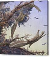 Image result for Hypuronector