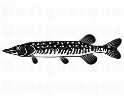 Download Pickerel Svg Fishing Svg Fish Svg Fishing Clipart Fishing Etsy Fishing Svg Fish Clipart Svg