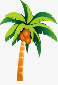 1000 coconut tree cartoon free vectors on ai, svg, eps or cdr. Cartoon Coconut Trees Png And Clipart Palm Tree Clip Art Coconut Tree Drawing Tree Drawing Simple