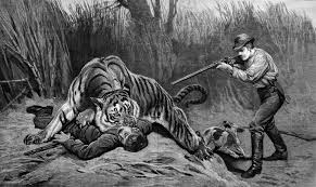 Champawat Tiger : The Story of the ...