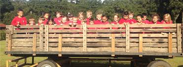 Peter's church beaufort apk is a education apps on android. St Peter S Catholic School 70 Lady S Island Drive Beaufort Sc 29907 Phone 843 522 2163