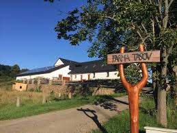 Image result for monika babi%u0161ov 