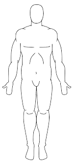 Magical, meaningful items you can't find anywhere else. File Anatomical Position Png Wikiversity